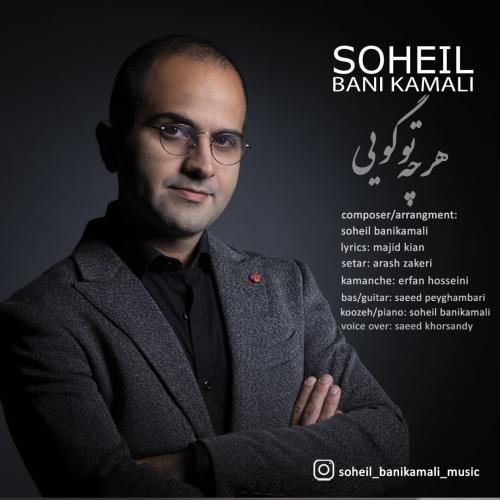 سهیل بنی کمالی هر چه تو گویی